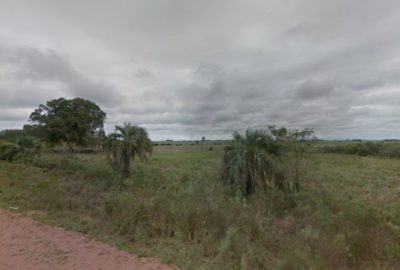 MUY BUEN CAMPO EN ROCHA – PARAJE “LOS AJOS”