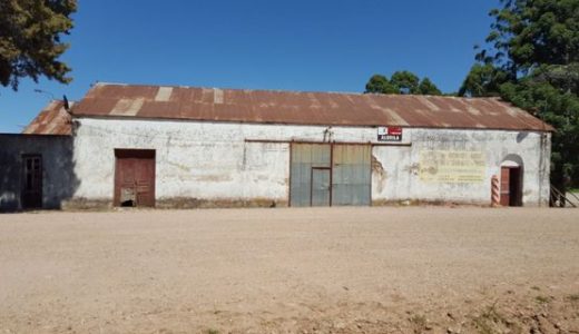 Fracción de campo en Riachuelo, Depto. de Colonia