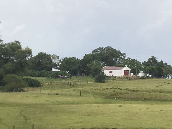 Mitad indivisa de Fracción de Campo de 140 hás. en Tacuarembó