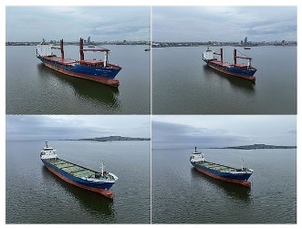Dos buques: Uno de carga y un portacontenedores