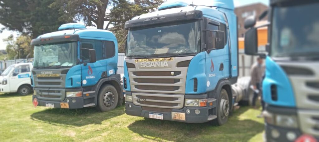 12 Camiones Scania y Mercedes Benz, remolques y camionetas Kia Bongo
