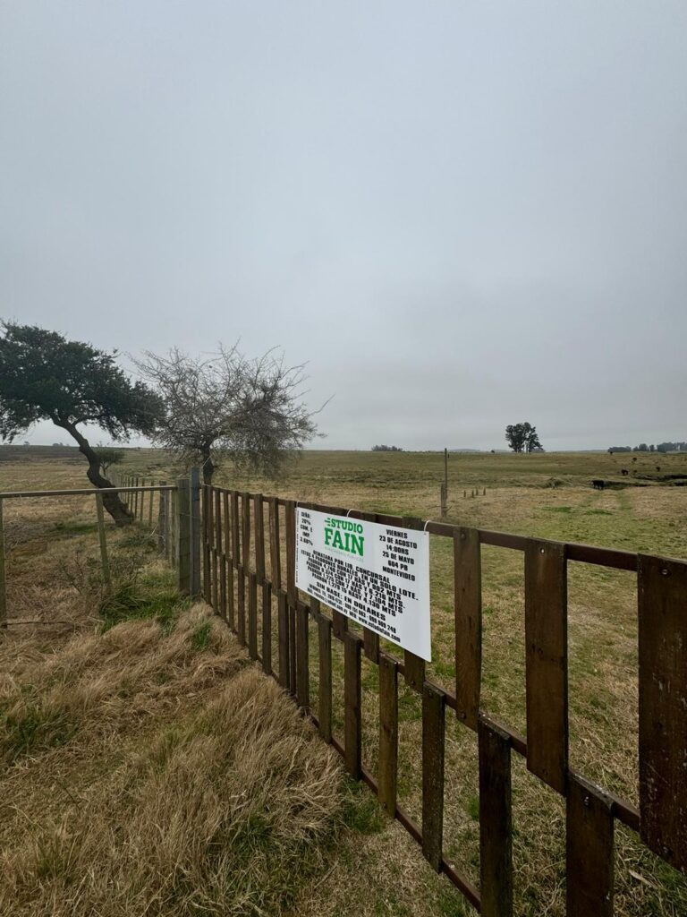 Campos agricolas ganaderos en Casupá