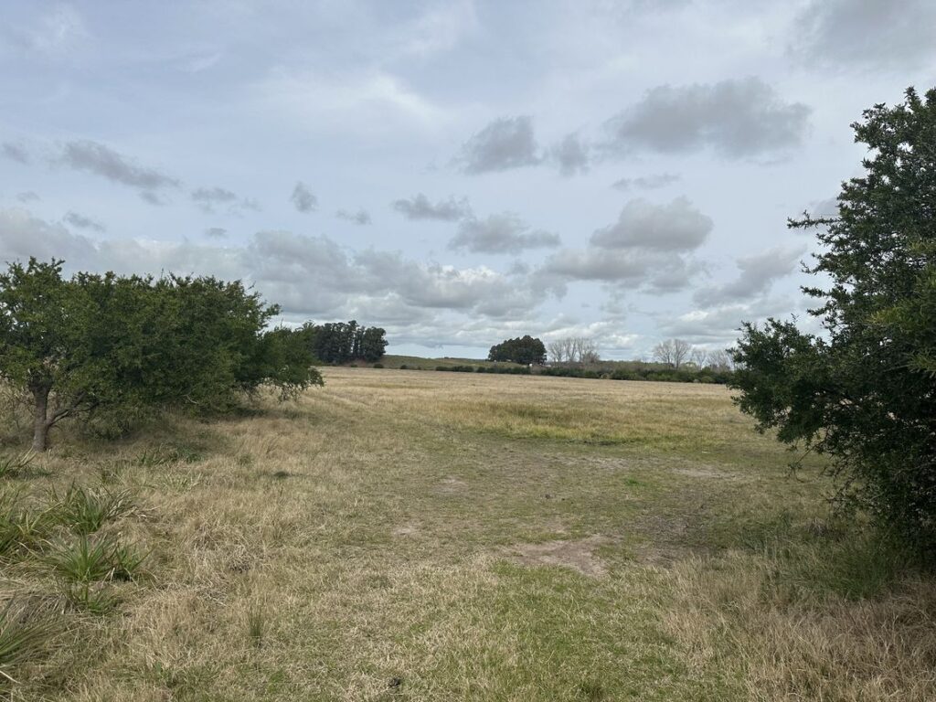 Campo de 7 Has. en Estación Solís – Lavalleja