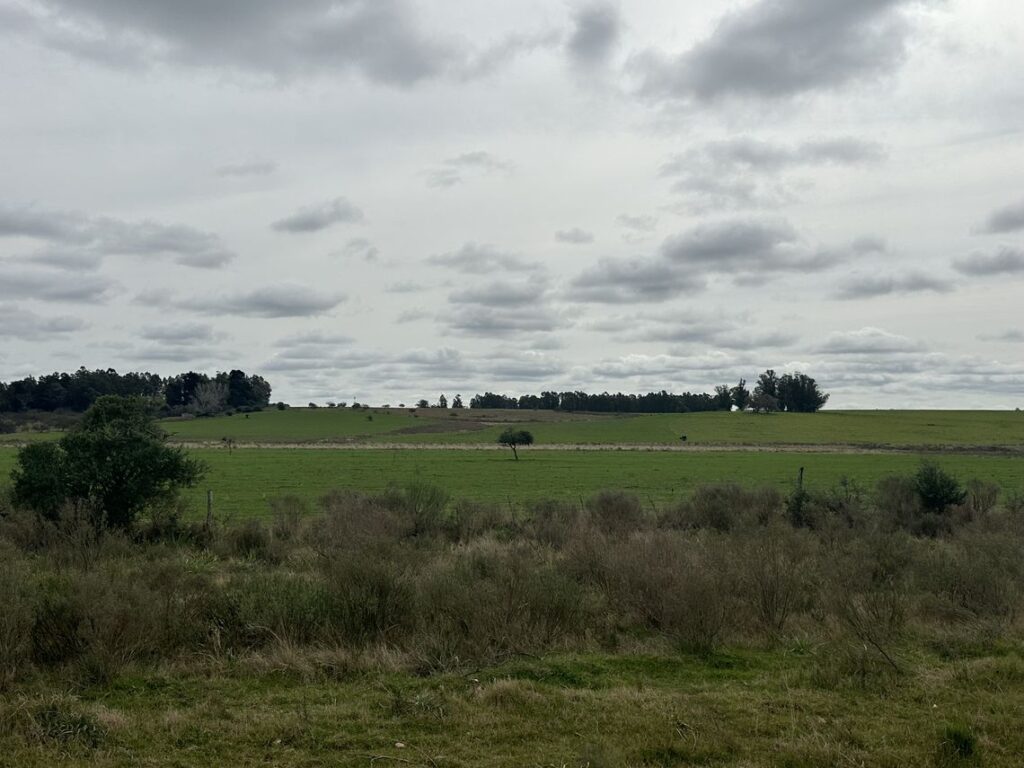 Campo de 61 hectáreas en Estación Solís en Lavalleja