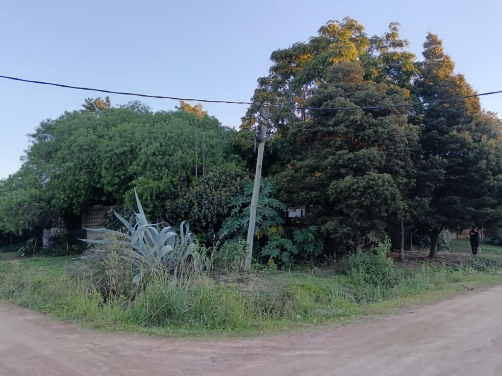 Dos casas, más garaje, barbacoa y galpón en Parque del Plata Norte