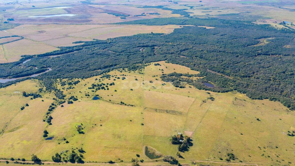Campo de 155 Hectáreas en Cerro Largo, Paraje “Paso de Melo”