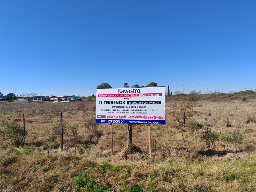 Liquidación concursal Calcar: 2 fracciones de campo y 11 terrenos en Nueva Palmira