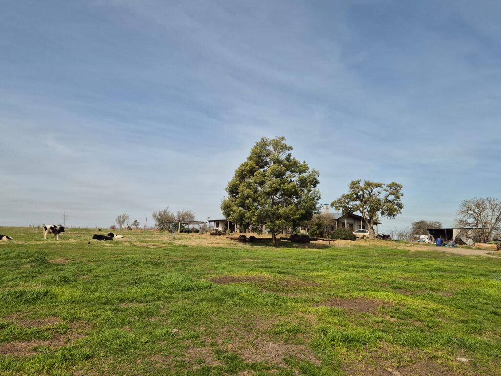 *SUSPENDIDO* Campo con mejoras en 25 de Mayo, Florida *SUSPENDIDO*
