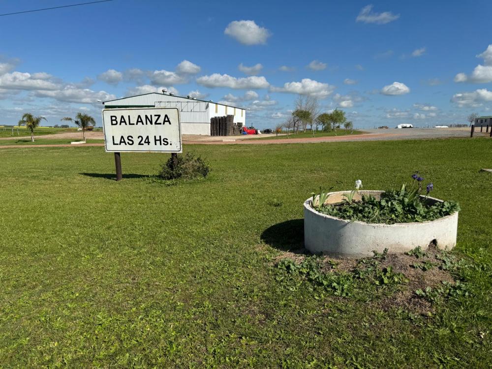 Dos fracciones de campo linderas en Ombúes de Lavalle – Colonia