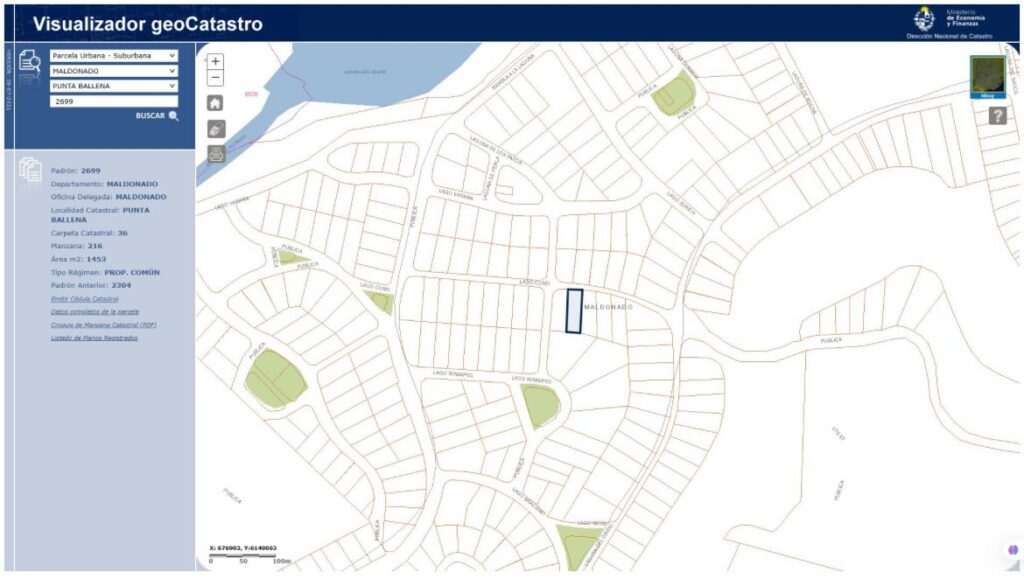 Terreno baldío en Punta Ballena