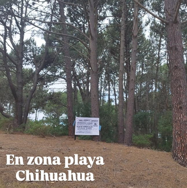 Inmuebles varios, vehículos y maquinarias varias