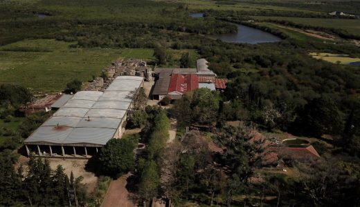 Padrón multipropósito en emblemática bodega en Carmelo