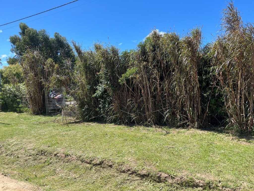 Tres padrones en Balneario Buenos Aires en Maldonado