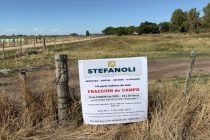 Campos en Soriano, inmediaciones de J. E. Rodó y Santa Catalina