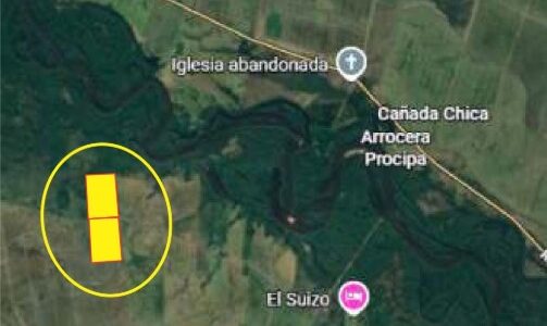 Campo arrocero y ganadero de 135 hás en zona Villa Passano, Dpto. de Treinta y Tres