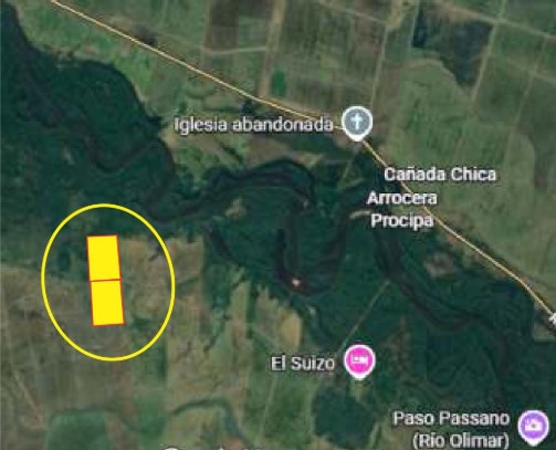 Campo arrocero y ganadero de 135 hás en zona Villa Passano, Dpto. de Treinta y Tres