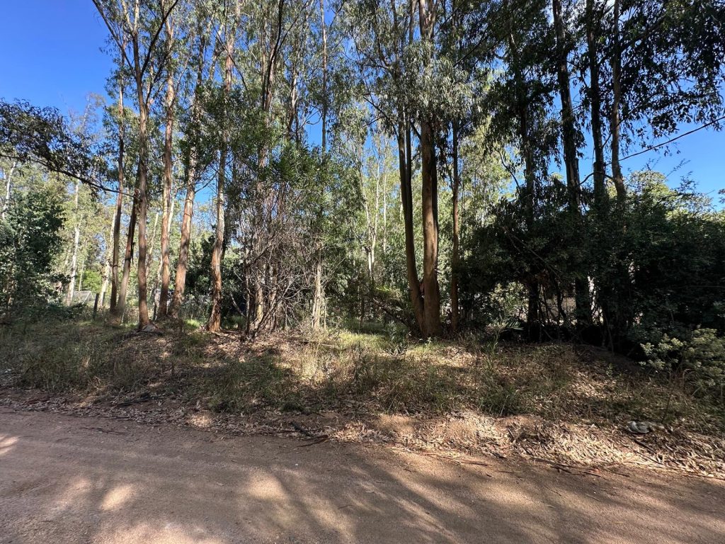 Solar de terreno en Sauce de Portezuelo