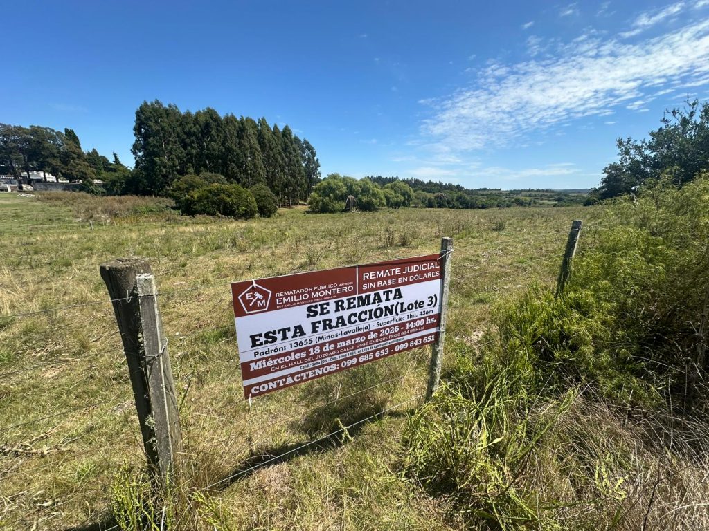 Tres fracciones en Minas, Lavalleja