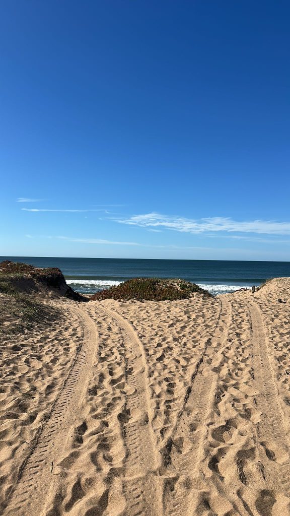 Solar de terreno en Sauce de Portezuelo