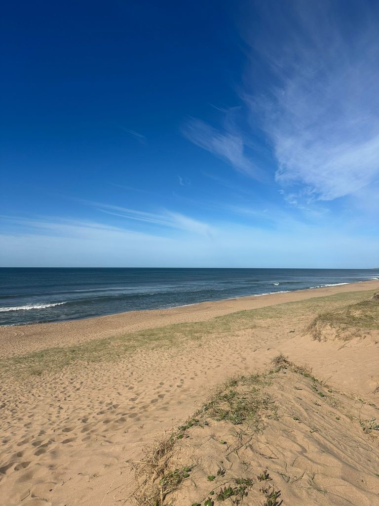 Solar de terreno en Sauce de Portezuelo