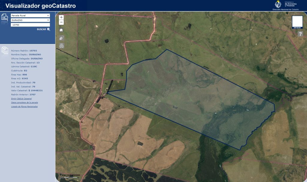 Gran remate de 4 padrones en paraje “Las Palmas” Durazno