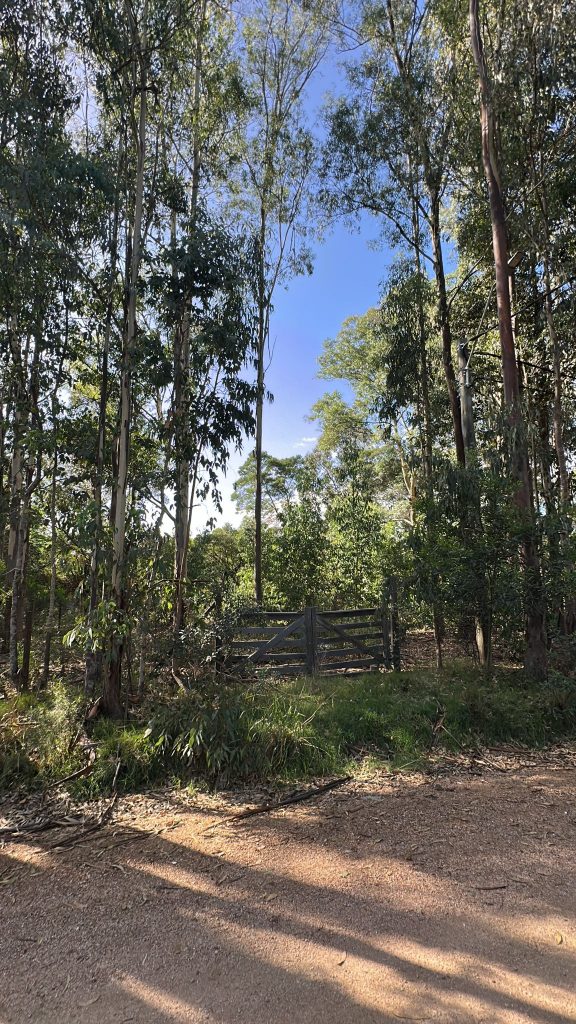 Solar de terreno en Sauce de Portezuelo