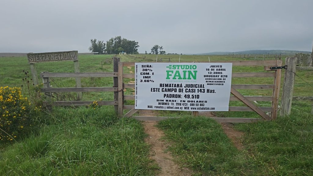 Gran campo agrícola y ganadero en Rocha