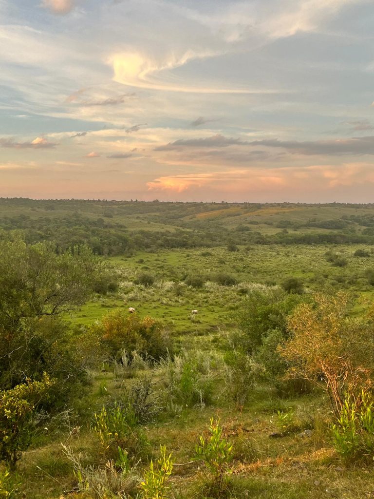 272 hectáreas proxima a “Quebrada de los Cuervos” Treinta y Tres