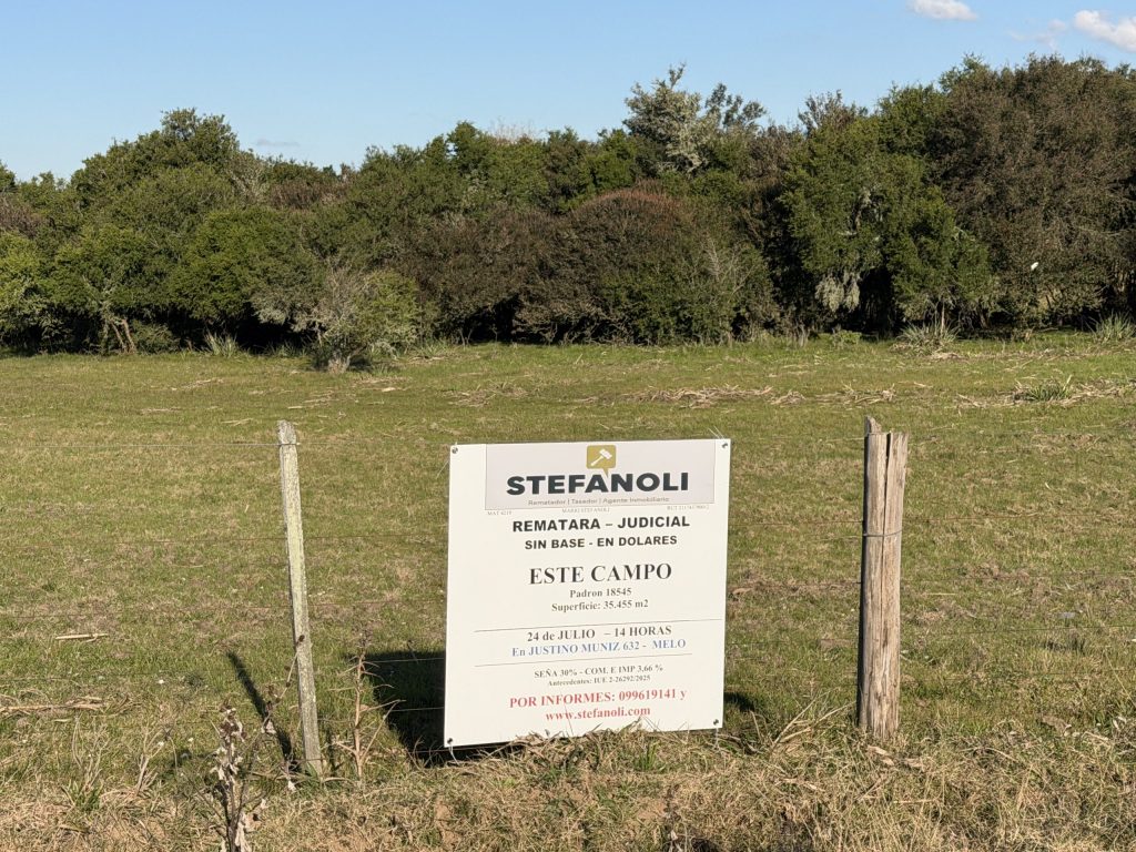Dos fracciones de campo en Cerro Largo, inmediaciones de Melo