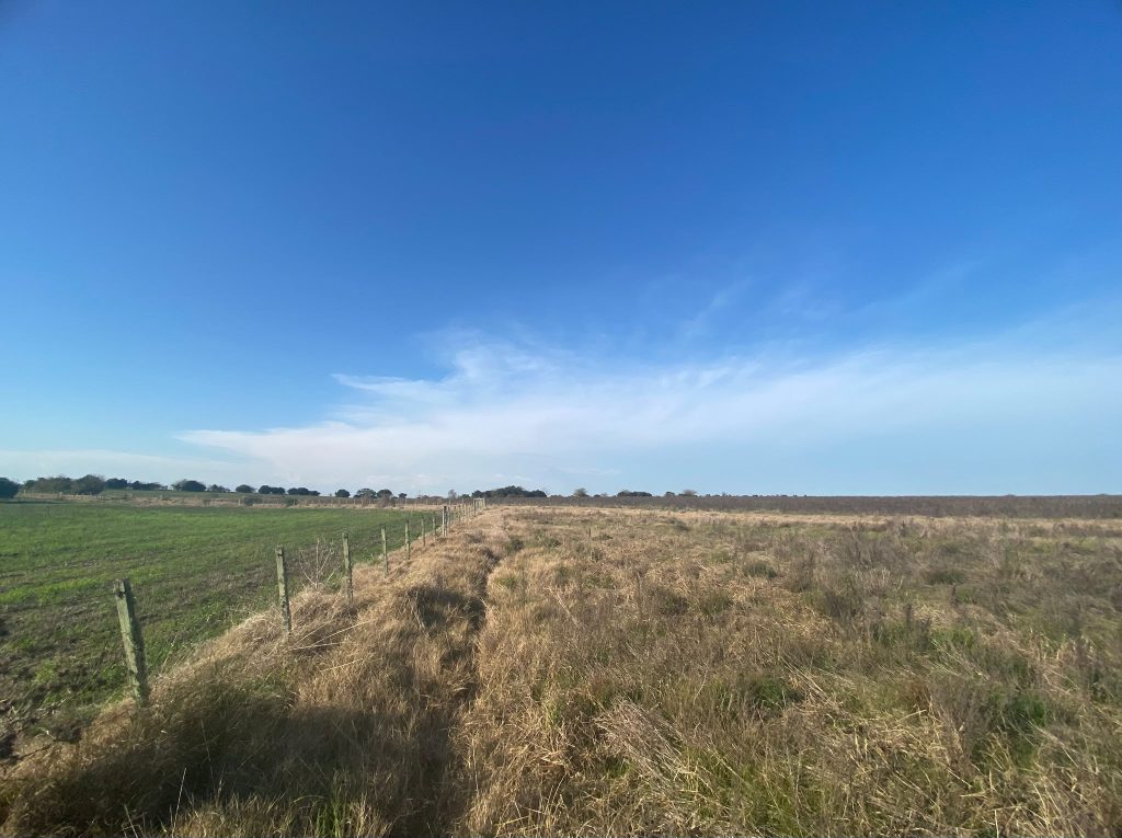 Fracción de campo con acceso por Ruta 3 a 10 Km de San José