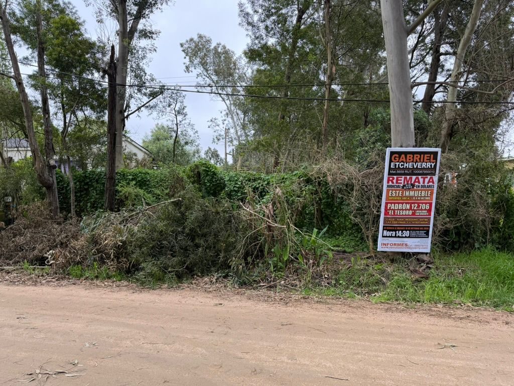 Muy buen terreno de 600 m2 en el Tesoro, cerca del puente de La Barra en Maldonado